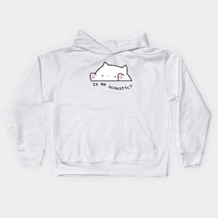 is he acoustic cat tiktok meme Kids Hoodie